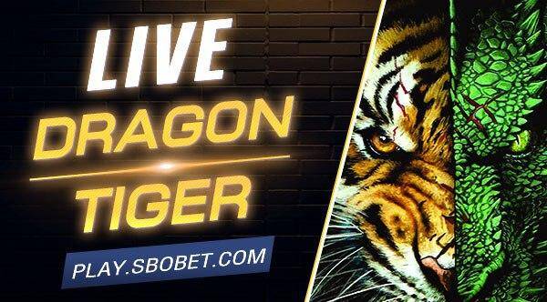 Live Dragon Tiger Live Dragon Tiger