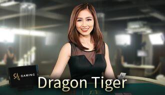 SA Dragon Tiger